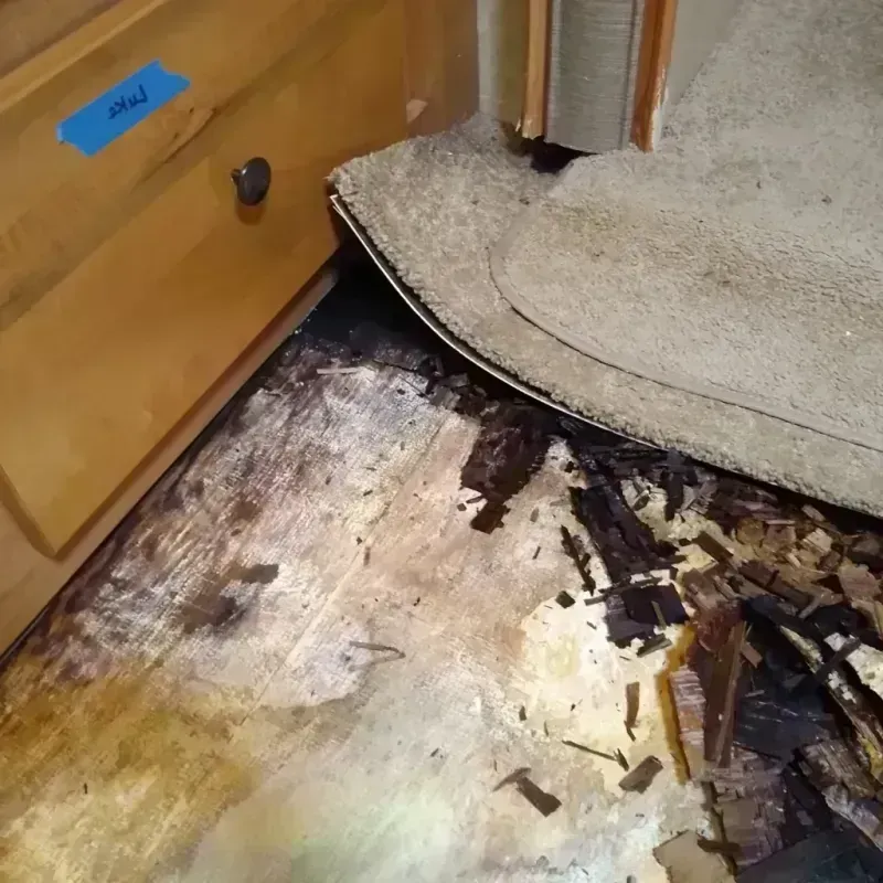 Best Wood Floor Water Damage Service in Griggsville, IL